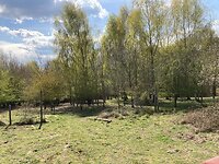Nature Site. Field1